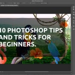 10 Photoshop Tips and Tricks for Beginners.