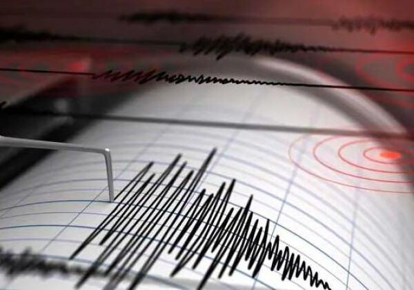 Earthquakes: a scientific perspective