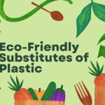 Eco-Friendly Substitutes of Plastic