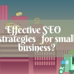 What SEO strategies will be most effective for small business?