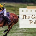 All about the game POLO