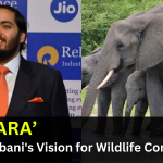 Anant Ambani's Vision for Wildlife Conservation: Building the World's Largest Rehabilitation Centre vantara