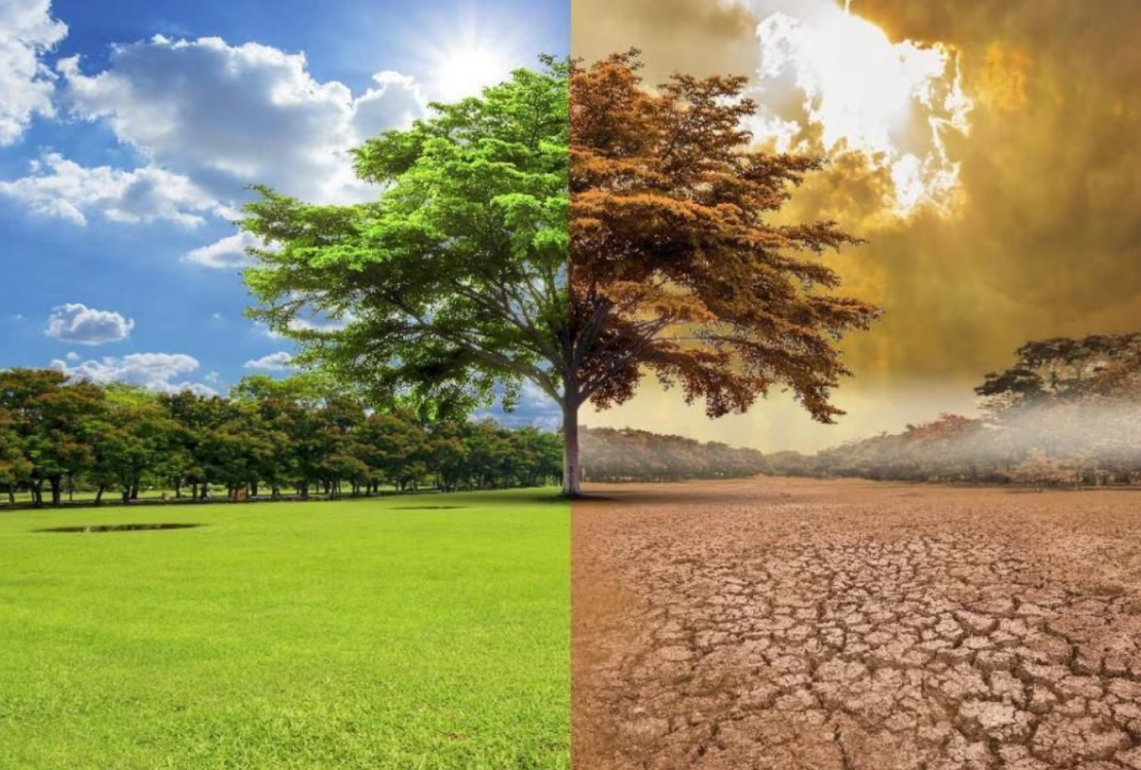 India Slips on Climate List but Stays a Top Performer