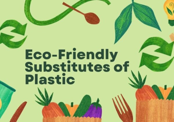 Eco-Friendly Substitutes of Plastic