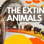 The Extinct Animals We Have Lost in the Past 150 Years